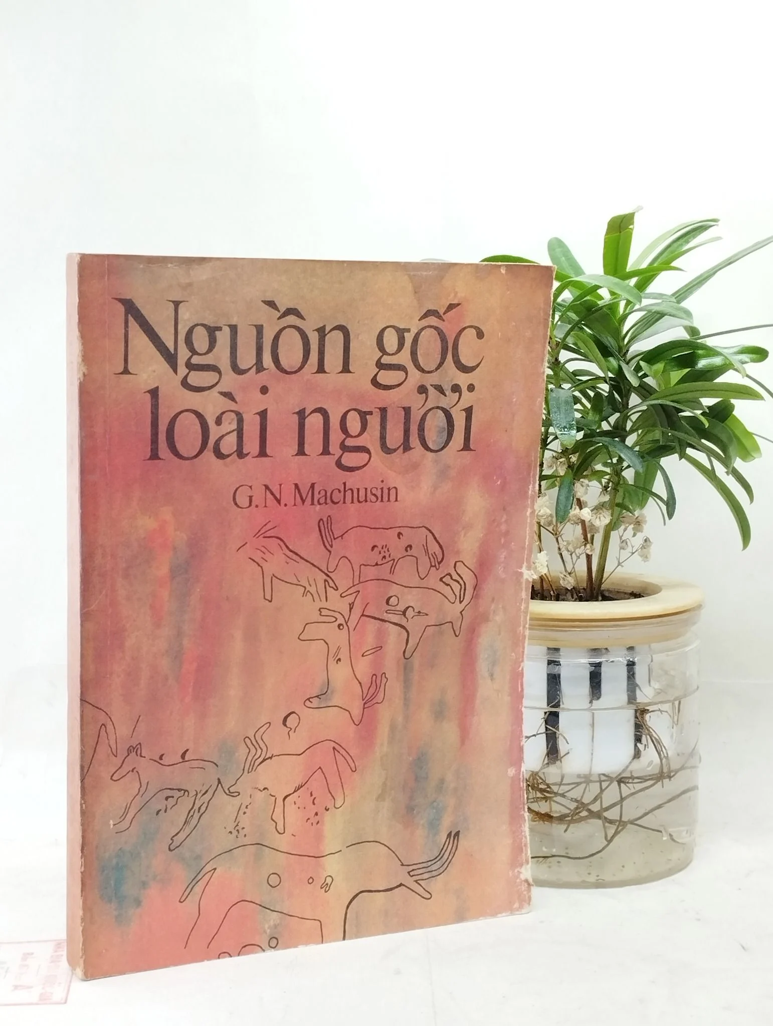 Bìa Ebook