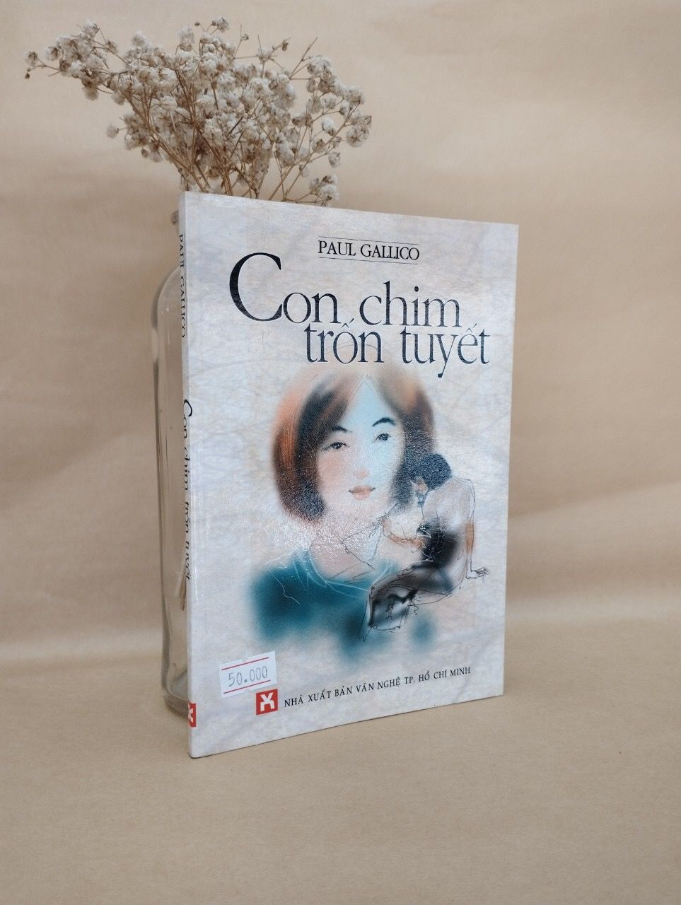 Bìa Ebook