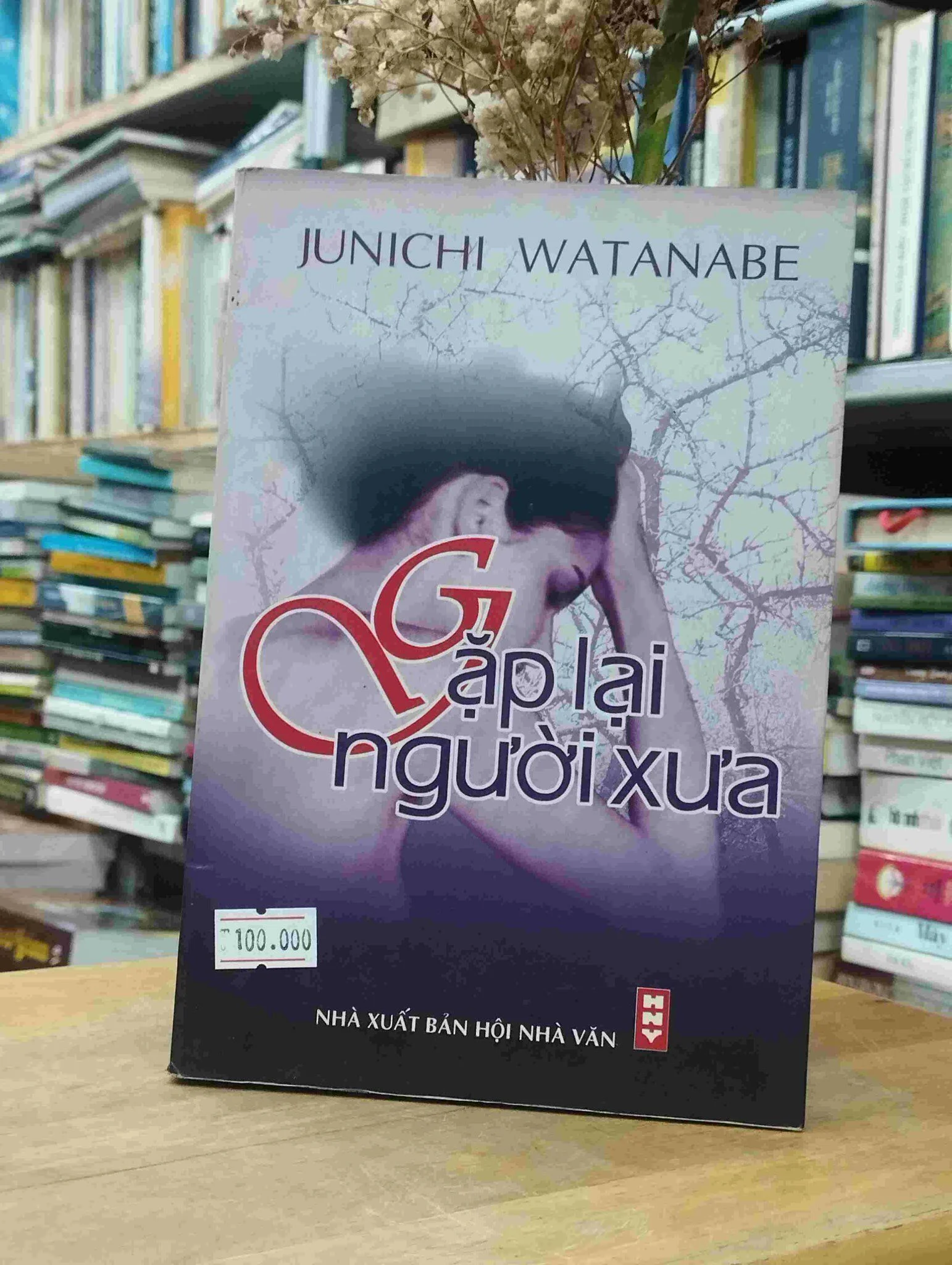 Bìa Ebook