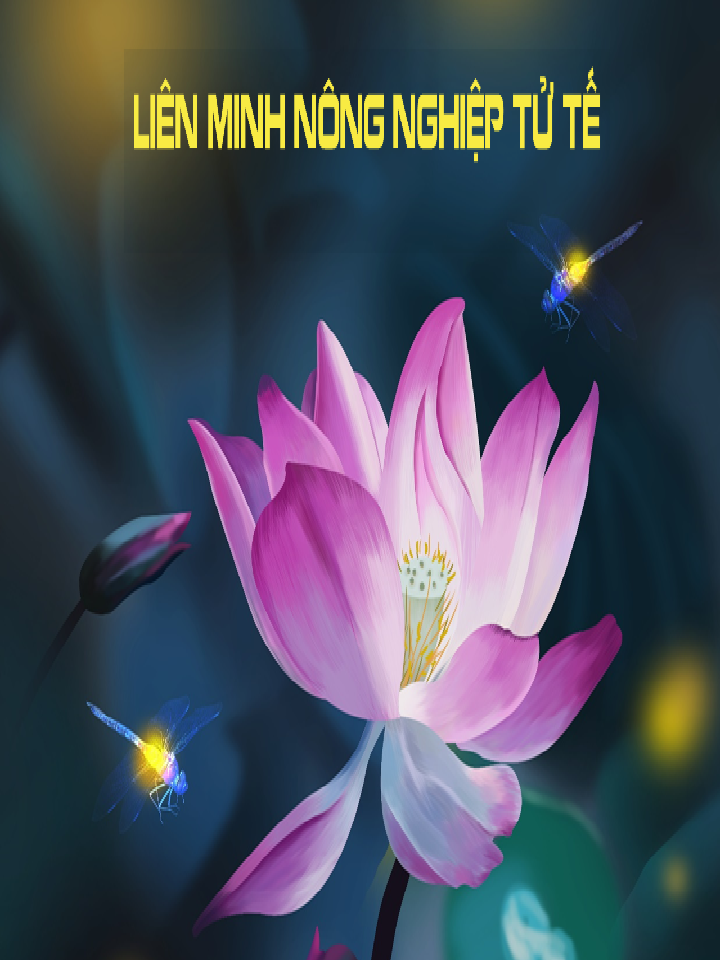 Bìa Ebook