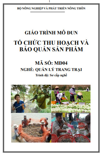 Bìa Ebook