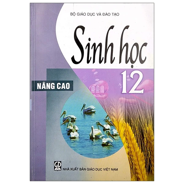 Bìa Ebook
