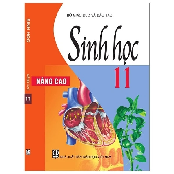 Bìa Ebook