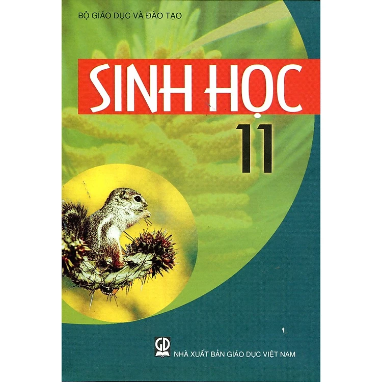 Bìa Ebook